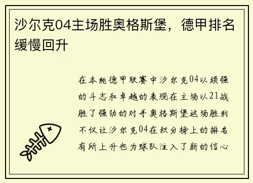 沙尔克04主场胜奥格斯堡，德甲排名缓慢回升